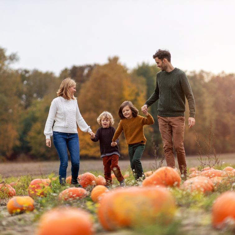 Fall activities in Toronto and West GTA